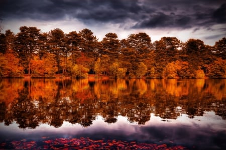 *** Autumn reflecion *** - fall, nature, autumn, forest, reflection