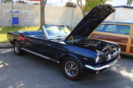 Mustang Conv - ford, classic, black, car show