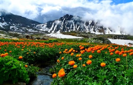 Mountainscape - majestic, landscape, meadow, mountain, flowers, cliffs, nice, sky, clouds, mountainscape, beautiful, snowy, slope, lovely, freshness, peaks, nature, rocks