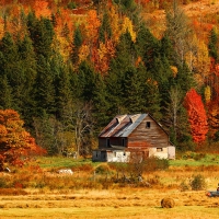 Hut in autumn mountain