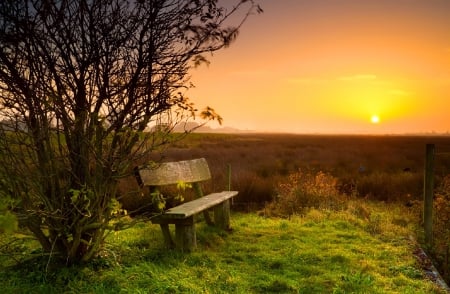 Rest at sunrise - sunshine, sky, bench, field, meadow, shine, amazing, orange, golden, grass, sunlight, light, place, lovely, nature, glow, beautiful, rest, sunrise