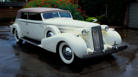 1936 Cadillac - cars, cadillac, luxury, chevrolet