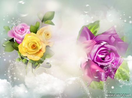 ROSES - creation, purple, yellow, roses