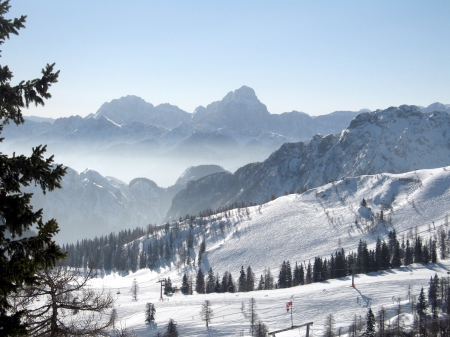 Great Powder - nature, scenic, snow, skiing, mountains, landscapes