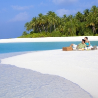 White Sand Beach Picnic