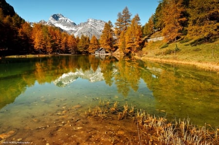 Autumn lake - cleatr, cabin, landscape, reflection, shore, peak, cruystal, lake, nice, place, cottage, sky, falling, trees, beautiful, colors, lovely, rest, fall, nature, autumn, foliage