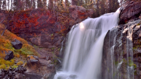 moose falls in yellowstone - trees, waterfalls, red moss, grass, rocks