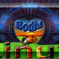 Bodhi Linux