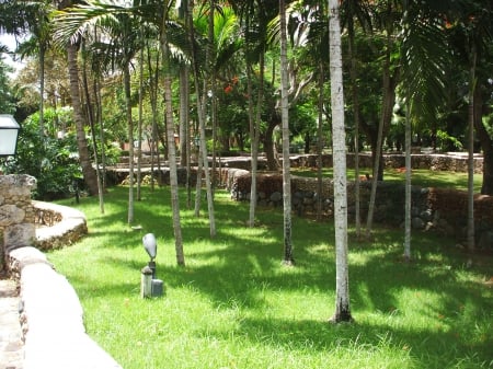 Green Grass - trees, stone, palm branch, rock, lawn, grass, stone wall, green, garden, palm trees, plants, wall