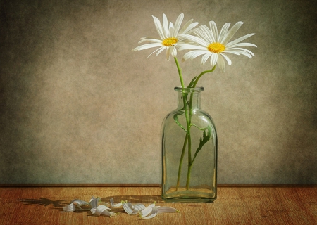 A story for two - bottle, flowers, flower, petals