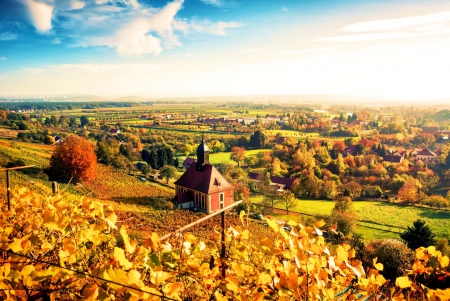 Autumn at Saxony, Germany - fall, house, trees, vinyard, colors, leaves