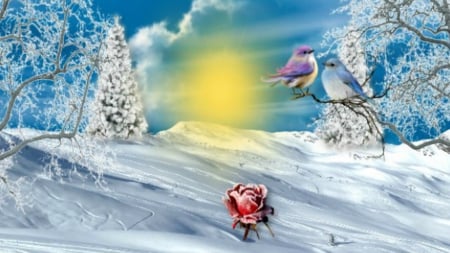 ~*~ Beautiful Winter ~*~