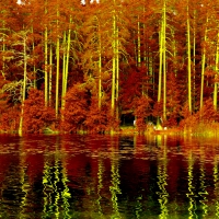 AUTUMN LAKE