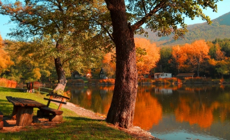 Autumn in countryside - season, sky, autumn, trees, water, countryside, bench, fall, view, quiet, reflection, calmness, pond, lake, hills, falling, shore, serenity, nature, village, beautiful, rest, leaves