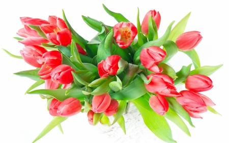 *** Bouquet of tulips *** - flowers, flower, nature, tulips