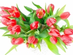 *** Bouquet of tulips ***