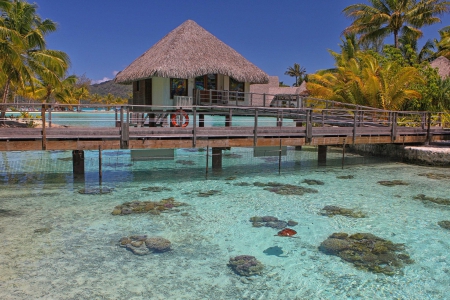 Turtle Enclosure Bora Bora