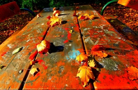 November - pretty, reflection, leaves, golden, nice, falling, branches, beautiful, mirrored, colors, lovely, tree, fall, glow, colorful, nature, november, autumn, foliage, shine