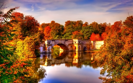 November - pretty, reflection, leaves, golden, nice, falling, branches, beautiful, mirrored, colors, lovely, tree, fall, glow, colorful, nature, november, autumn, foliage, shine