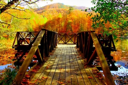 November - pretty, reflection, leaves, golden, nice, falling, branches, beautiful, mirrored, colors, lovely, tree, fall, glow, colorful, nature, november, autumn, foliage, shine