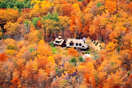 November - nice, autumn, colorful, mirrored, shine, foliage, fall, pretty, reflection, tree, golden, branches, falling, lovely, nature, glow, beautiful, leaves, november, colors