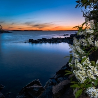 Nature Lake