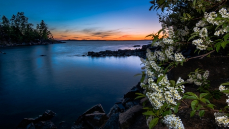 Nature Lake