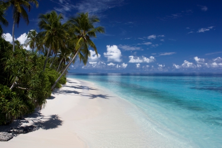 Beautiful Beach - ocean, beach, islands, pacific, paradise, tropical, exotic, white, polynesia, blue, beautiful, lagoon, island, south, sea, sand