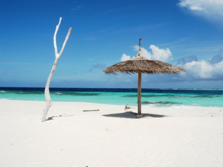 White Sand Beach - lagoon, blue, pacific, beach, island, polynesia, sand, aqua, parasol, exotic, paradise, south, branch, sea, ocean, islands, white, tropical