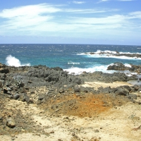 Rocky Shore