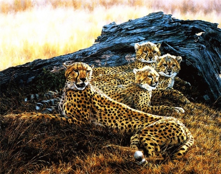 Family Cheetah - cubs, resting, predators, artwork