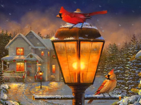 We're home - nice, sky, magic, path, painting, art, home, lantern, evening, clouds, holiday, house, tree, fence, winter, night, lovely, christmas, cardinals, village, snow, beautiful, frost, cozy