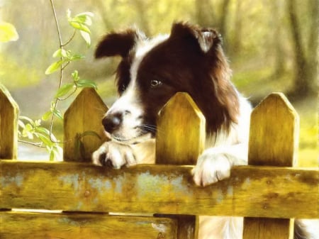 Peeking pooch - nice, fence, adorable, puppy, trees, pet, yard, peeking, lovely, nature, art, dog, beautiful, sweet, pooch, cute