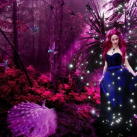 Forest Fairy