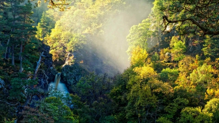 Nature - Trees, Forest, Nature, Waterfall