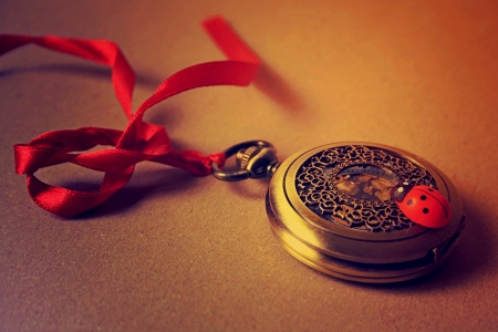 Time... - romantic, ladybug, time, ribbon, romance, clock