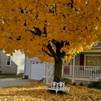 A Beautiful Autumn Day