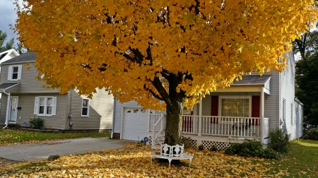 A Beautiful Autumn Day - beautiful day, autumn day, a beautiful fall day, fall day, a beautiful autumn day