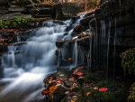 Waterfall during Autumn