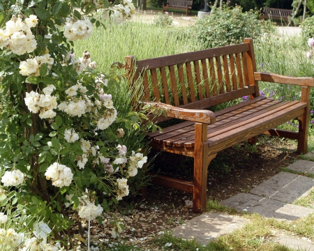 A  Beutiful Place to Relax - flowers, Place, nature, bank