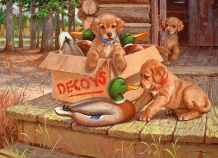 Doggie decoys - fun, play, summer, team, home, joy, decoys, animal, dogs, box, friends, art, house, game, puppies, playing, painting