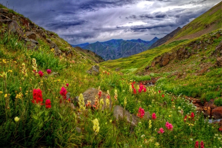 Mountain paradise - beauty, nice, sky, slope, freshness, paradise, greenery, mountainscape, pretty, clouds, grass, mountain, summer, peak, lovely, nature, beautiful, delight, flowers, wildflowers