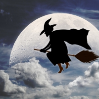 Witch On A Broom