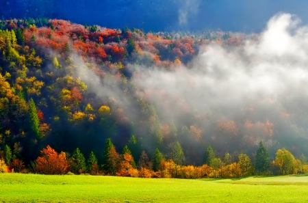 November - nice, autumn, colorful, mirrored, shine, foliage, fall, pretty, reflection, tree, golden, branches, falling, lovely, nature, glow, beautiful, leaves, november, colors