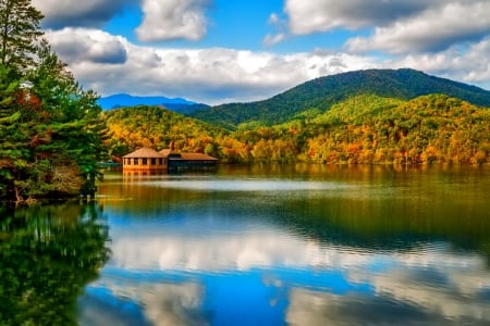 November - pretty, reflection, leaves, golden, nice, falling, branches, beautiful, mirrored, colors, lovely, tree, fall, glow, colorful, nature, november, autumn, foliage, shine