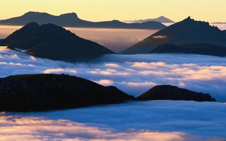 Valley Mist at Dawn South-West National Park Tasmania Australia - abstract, fantasy, nature, Australia, Tasmania, natiobal park