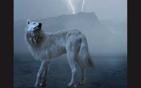 wolf - wolf wallpaper, wolfrunning, winter, spirit, wolf, dog, wolf pack, mythical, howling, howl, wisdom beautiful, fantasy, grey, arctic