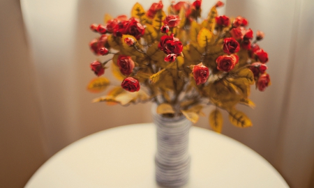 Roses - vase, red, flower, roses