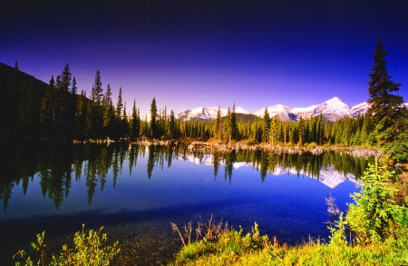 Rocky mountain reflections at sunrise - calm, quiet, reflections, blue, sunrise, mountain, rocky, shore, peak, cliffs, lake, trees, beautiful, mirrored, colors, lovely, nature, serenity, rocks