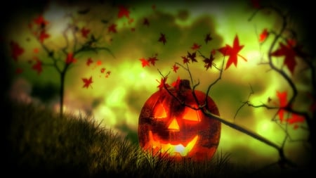 Lantern Jack in Autumn - jack, creative pre-made, photomanipulation, leaves, skull, holiday, horror, halloween, plants, trees, backgrounds, digital art, fall season, lantern, macabre, nature, autumn